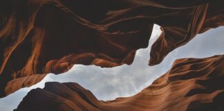 Jakie są formy szkolenia?