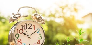 Ile zasad zarządzania jakością zawiera norma ISO 9001?